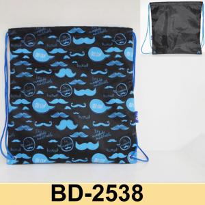210D polyester backpack-BD2538