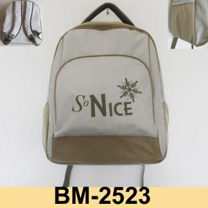 600D polyester cooler backpack-BD2533