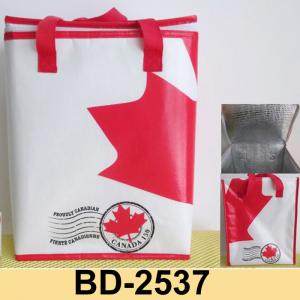 Non-Woven cooler bag-BD2537