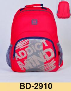 Lightweight Travel Daypack Student School Backpack-BD-2910